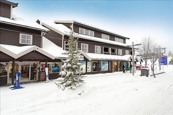 Skitorget Apartments Трюсіль Екстер'єр фото